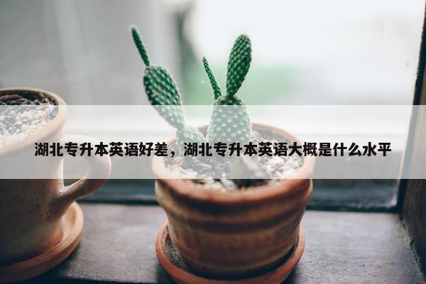 湖北专升本英语好差，湖北专升本英语大概是什么水平