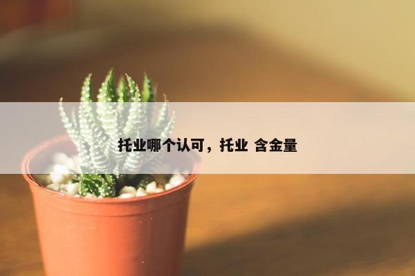 托业哪个认可，托业 含金量