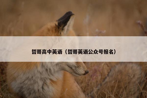 哲哥高中英语（哲哥英语公众号报名）