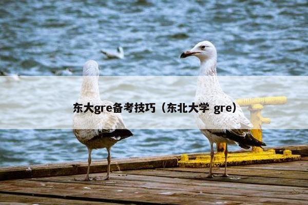 东大gre备考技巧（东北大学 gre）