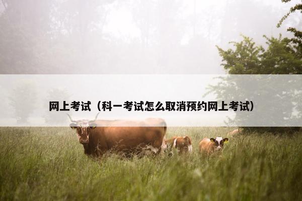 网上考试（科一考试怎么取消预约网上考试）