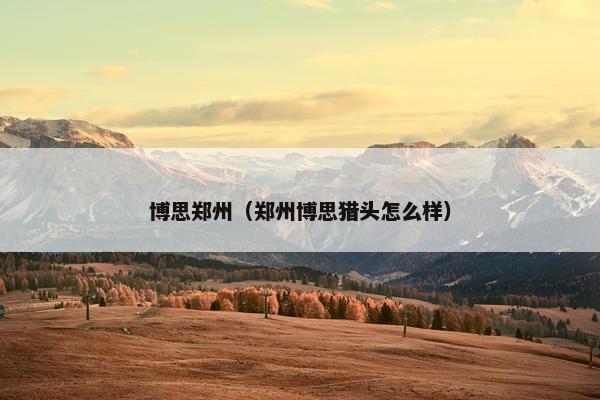 博思郑州（郑州博思猎头怎么样）