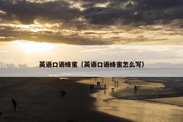英语口语蜂蜜（英语口语蜂蜜怎么写）
