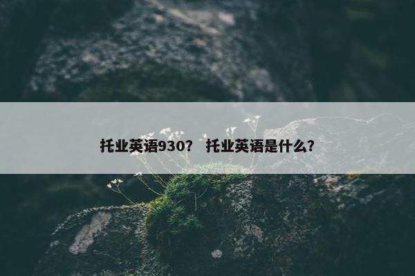 托业英语930？ 托业英语是什么？