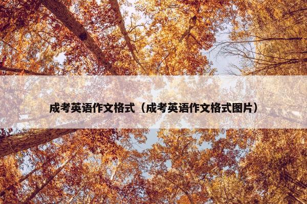 成考英语作文格式（成考英语作文格式图片）