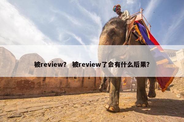 被review？ 被review了会有什么后果？
