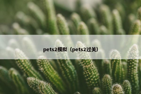pets2模拟（pets2过关）