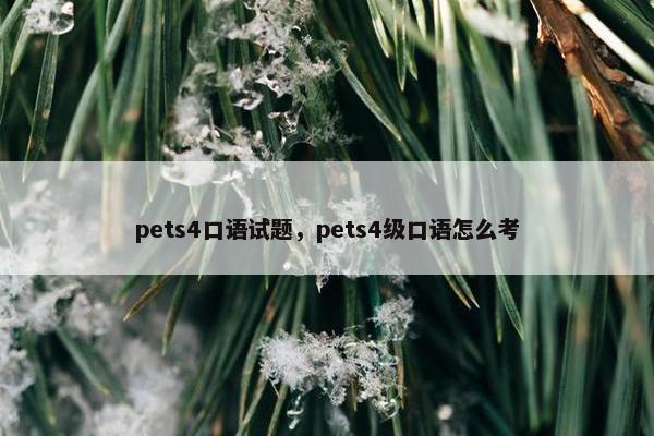 pets4口语试题，pets4级口语怎么考