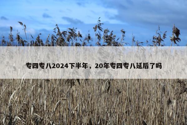 专四专八2024下半年，20年专四专八延后了吗