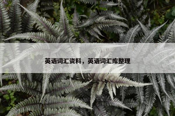 英语词汇资料，英语词汇库整理