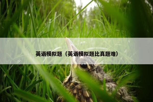 英语模拟题（英语模拟题比真题难）