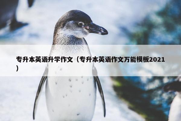 专升本英语升学作文（专升本英语作文万能模板2021）