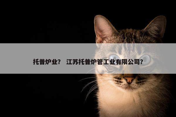 托普炉业？ 江苏托普炉管工业有限公司？
