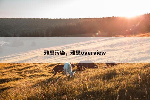 雅思污染，雅思overview