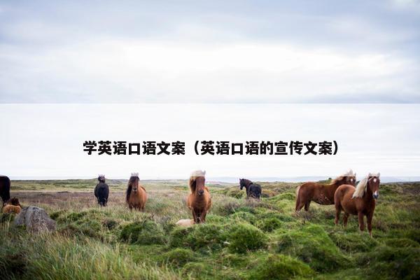 学英语口语文案（英语口语的宣传文案）