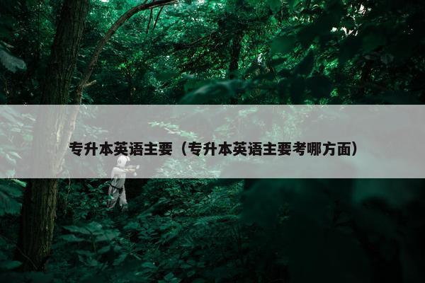 专升本英语主要（专升本英语主要考哪方面）