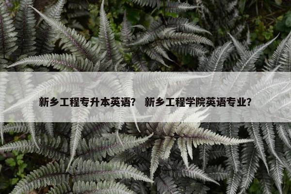 新乡工程专升本英语？ 新乡工程学院英语专业？