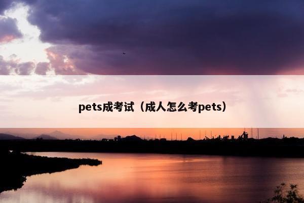 pets成考试（成人怎么考pets）