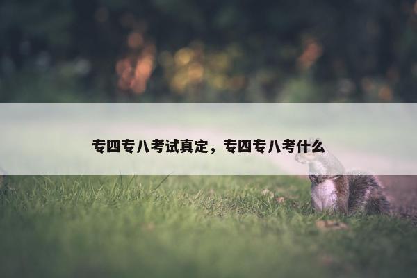 专四专八考试真定，专四专八考什么