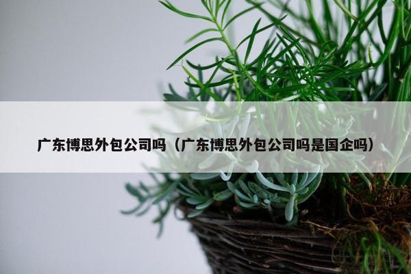 广东博思外包公司吗（广东博思外包公司吗是国企吗）