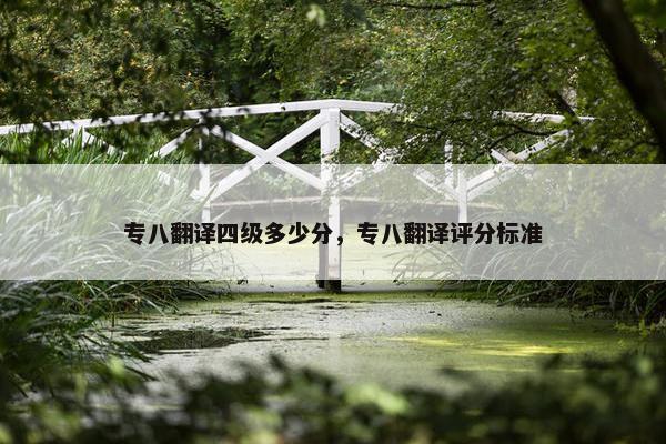 专八翻译四级多少分，专八翻译评分标准