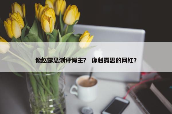 像赵露思测评博主？ 像赵露思的网红？
