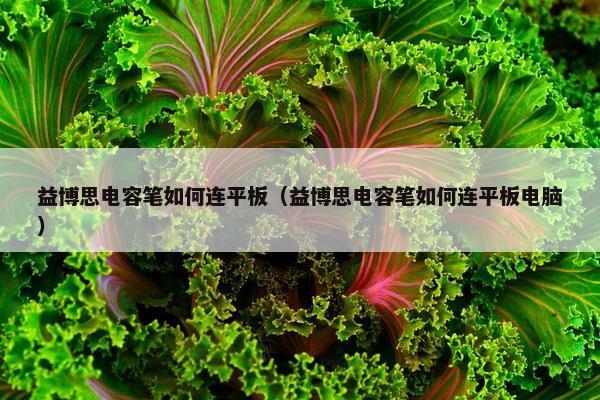 益博思电容笔如何连平板（益博思电容笔如何连平板电脑）