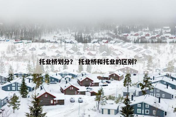 托业桥划分？ 托业桥和托业的区别？