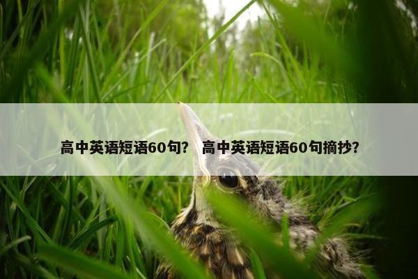 高中英语短语60句？ 高中英语短语60句摘抄？