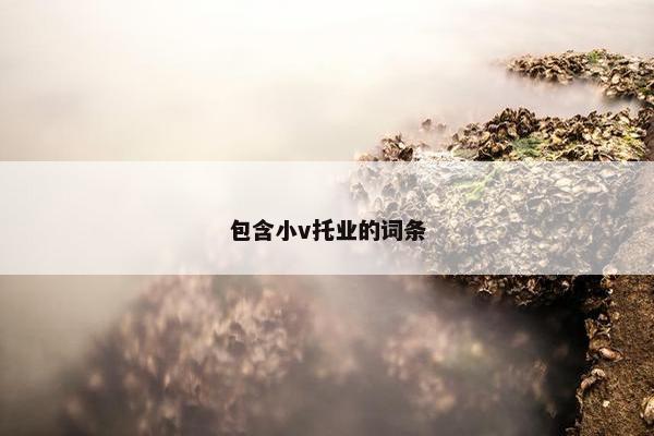 包含小v托业的词条
