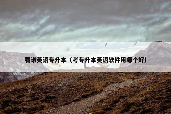 看谁英语专升本（考专升本英语软件用哪个好）