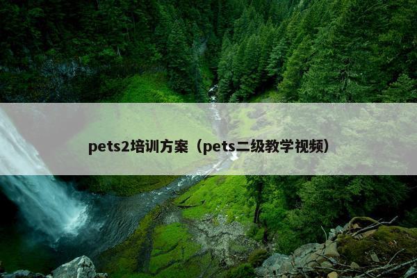 pets2培训方案（pets二级教学视频）