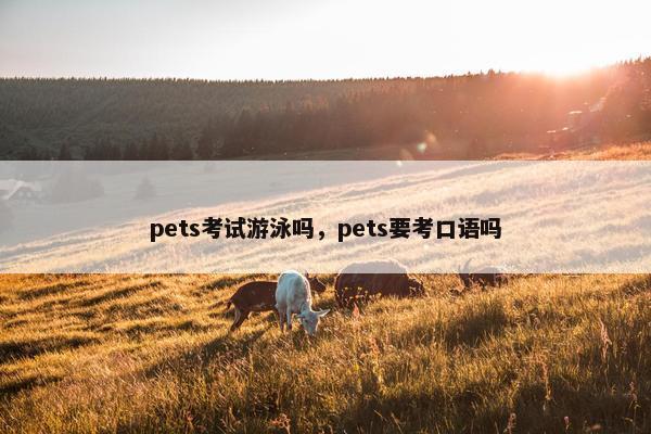 pets考试游泳吗，pets要考口语吗