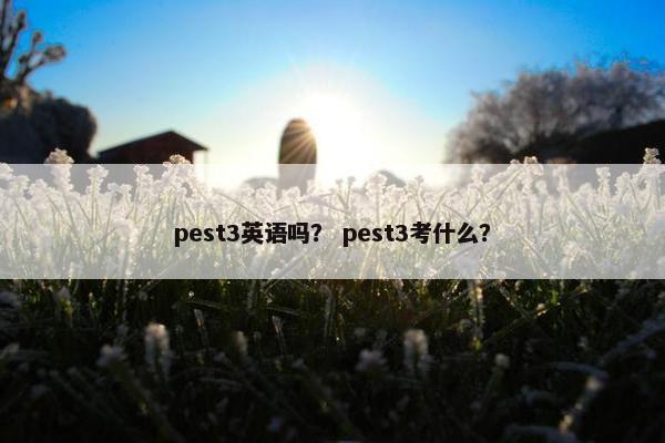 pest3英语吗？ pest3考什么？