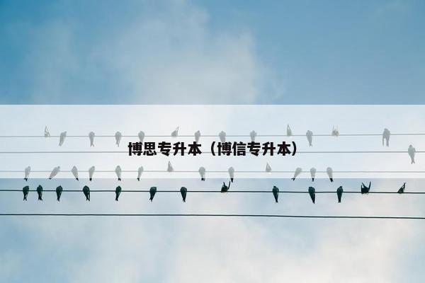博思专升本（博信专升本）