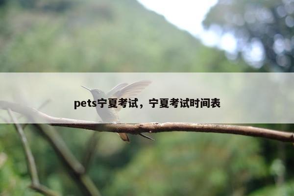 pets宁夏考试，宁夏考试时间表