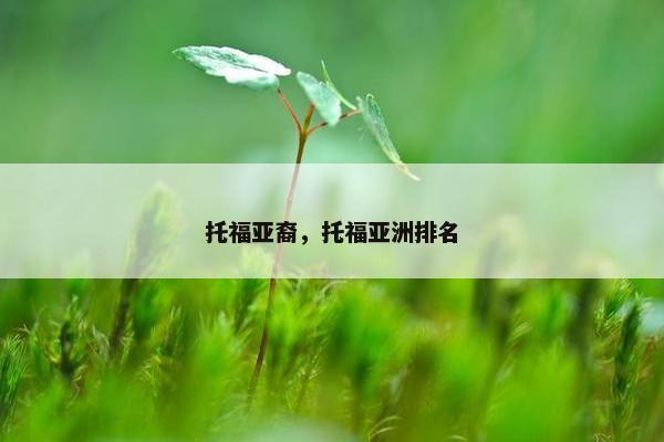 托福亚裔，托福亚洲排名