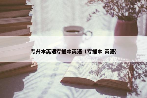 专升本英语专插本英语（专插本 英语）