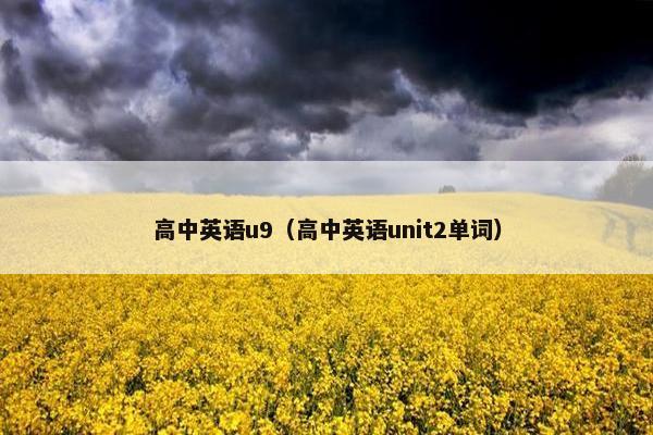 高中英语u9（高中英语unit2单词）