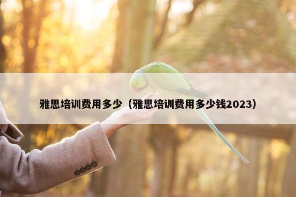 雅思培训费用多少（雅思培训费用多少钱2023）