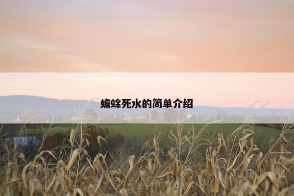 蟾蜍死水的简单介绍