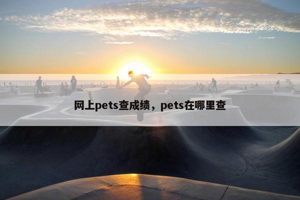 网上pets查成绩，pets在哪里查