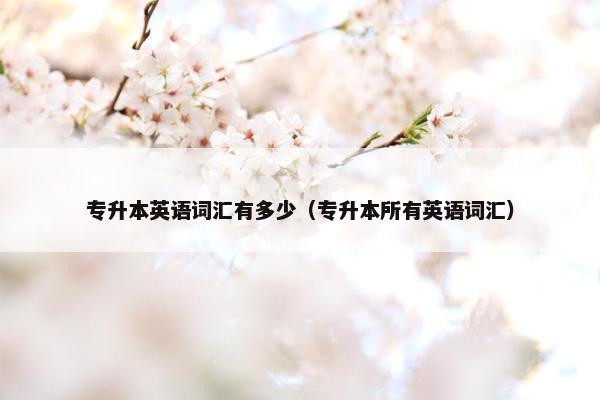 专升本英语词汇有多少（专升本所有英语词汇）