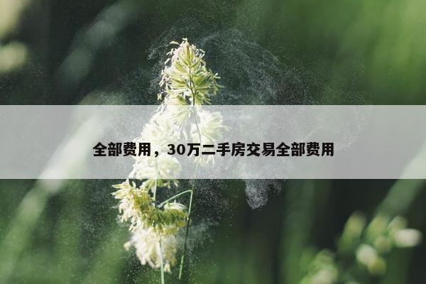 全部费用，30万二手房交易全部费用