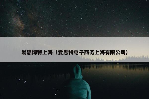 爱思博特上海（爱思特电子商务上海有限公司）