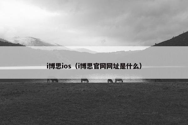 i博思ios（i博思官网网址是什么）