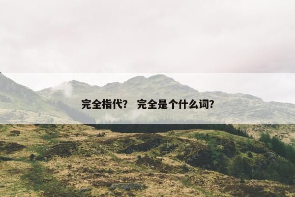 完全指代？ 完全是个什么词？