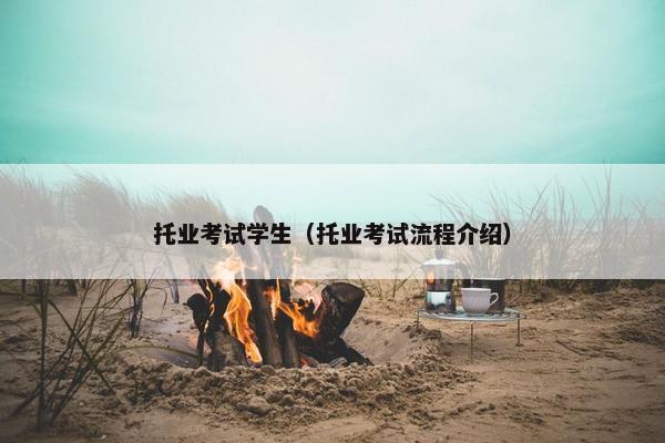 托业考试学生（托业考试流程介绍）