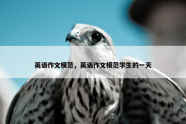 英语作文模范，英语作文模范学生的一天