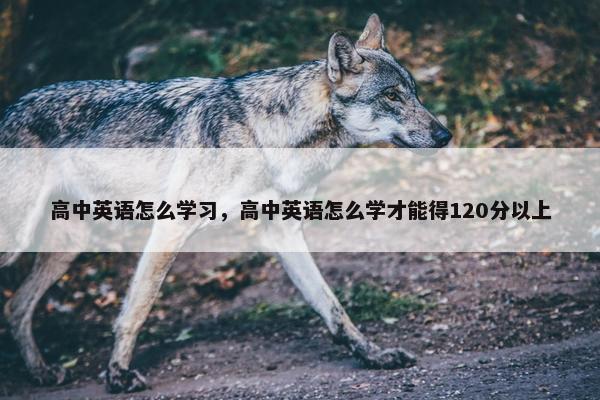 高中英语怎么学习，高中英语怎么学才能得120分以上